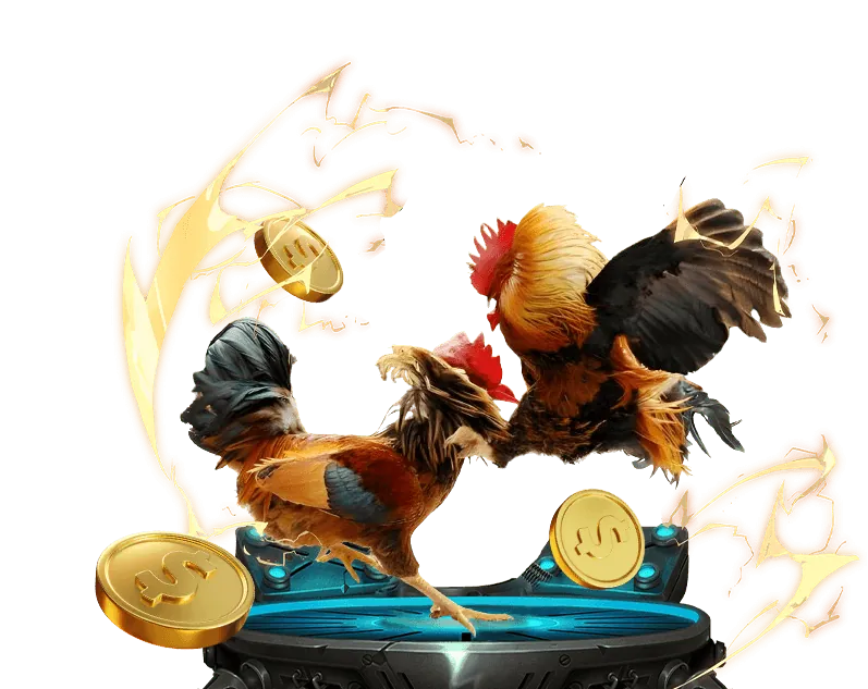 Lịch sử phát triển của Nhà Cái QQ88